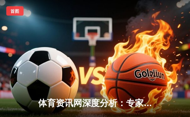 体育资讯网深度分析：专家解读
